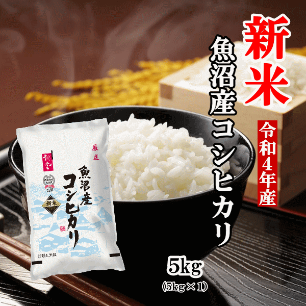 レビュー投稿で選べる特典 【送料無料】令和4年 新米 新潟県産こしいぶき2キログラム×10 通販