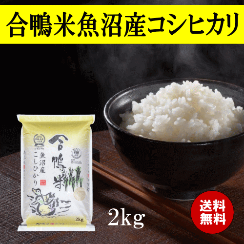 【楽天市場】特別栽培米魚沼産コシヒカリ 5kg コシヒカリ 新潟県産