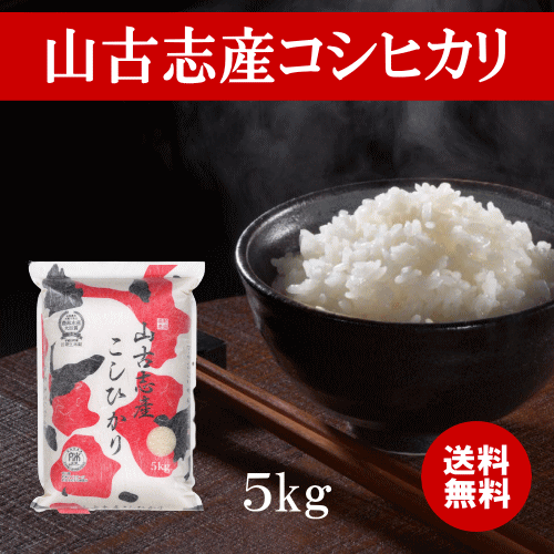 コシヒカリ10㎏選べる精米歩合】令和6年産米/つきたて直送