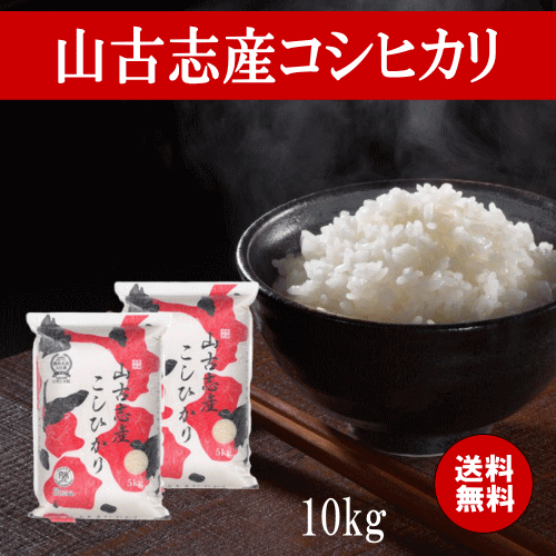 楽天市場】新米 お米 5キロ コシヒカリ 5kg 令和7年産 新潟県産