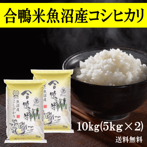 新米 富山県産 新米 コシヒカリ