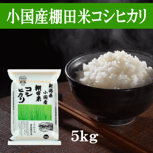 【楽天市場】米 コシヒカリ 5kg 新潟県産コシヒカリブレンド 5kg