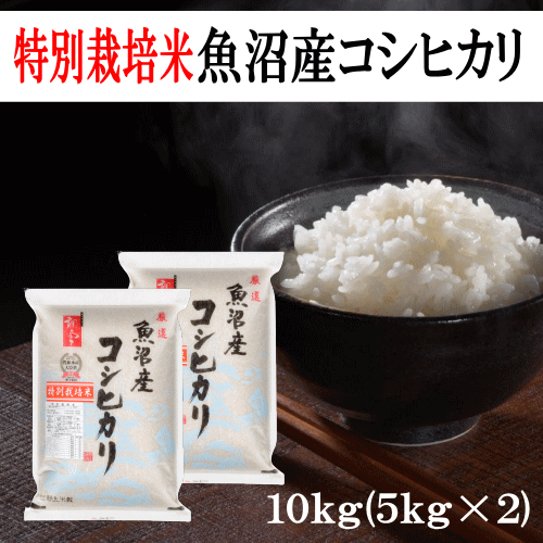 【古米】魚沼産コシヒカリ令和5年産20kg精米済み dショッピング |□令和6年産 食味ランキング特A銘柄 本場 新潟県