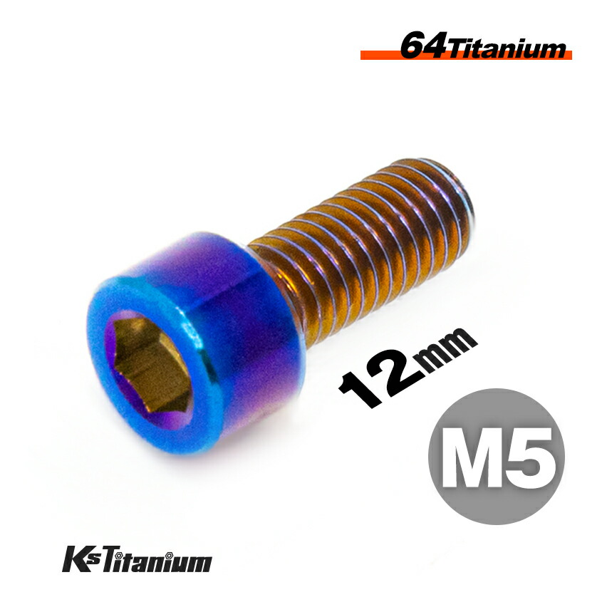 Buell用Gr5チタンボルト(10本)とDTS06-04コネクタ(メス一式) ファッション通販】 Buell用Gr5チタンボルト(10本)とDTS06-04
