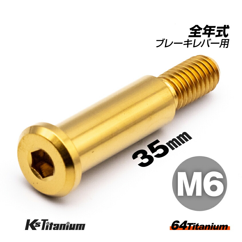 楽天市場】M8×35 P1.25 チタンボルト 1本 8mm 35mm ピッチ1.25