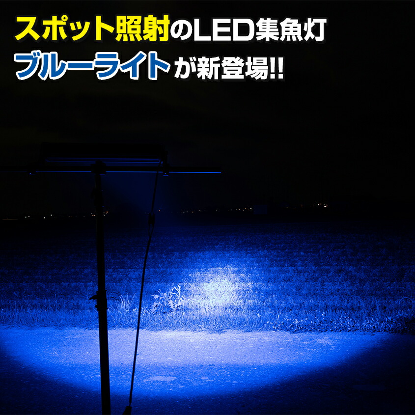 イカ釣り 集魚灯 ブルー 1w 青色 Led 3wチップ搭載 タチウオ アジ イサキ におすすめ ライト 船 ボート 集魚ライト 12v 24v 対応 Rvcconst Com