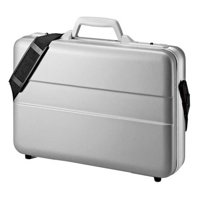 ABSハードPCケース（14インチワイド）　≪サンワサプライ≫　BAG-ABS5N2 【離島 発送不可】