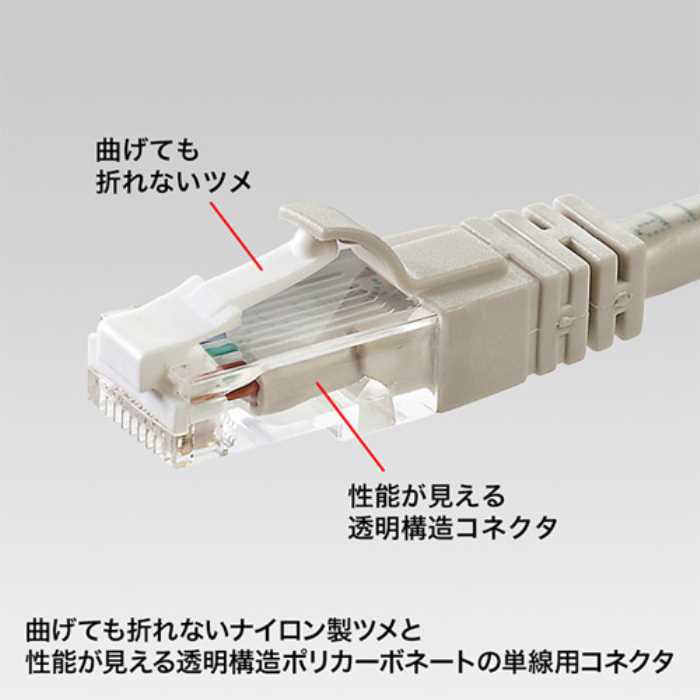 数々の賞を受賞 ツメ折れ防止カテゴリ6 RJ-45コネクタ 10個セット ≪サンワサプライ≫ ADT-6RJTS-10  www.agroservet.com