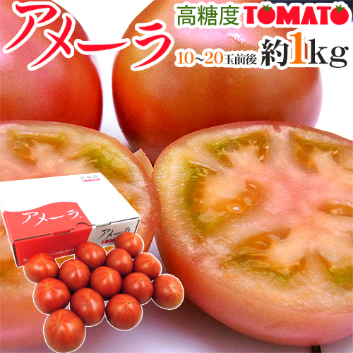 トマト嫌いも驚く！甘くておいしいトマトのおすすめはどれ？