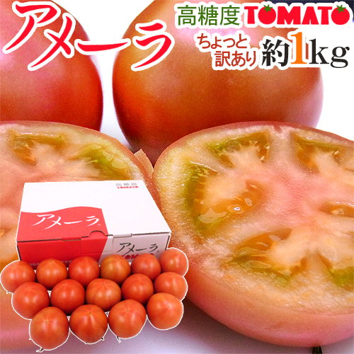 静岡県 &rdquo;高糖度フルーツトマト アメーラ&rdquo; 大きさおまかせ 約1kg ほんのちょっと訳あり 化粧箱入り