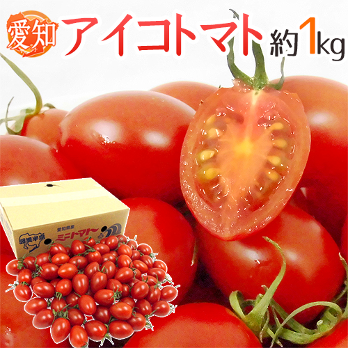 コーミ ぎふとあいちのトマトジュース 食塩無添加 125ml カート