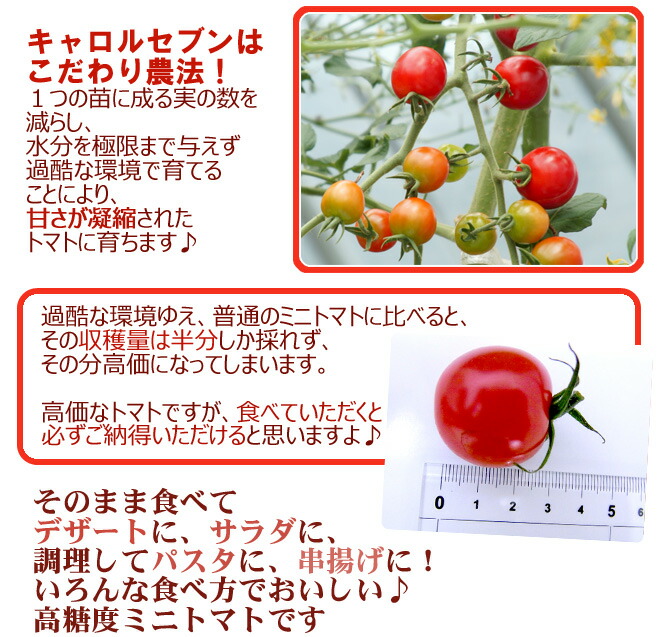 和歌山産フルーツミニトマト”キャロルセブン”約2kg