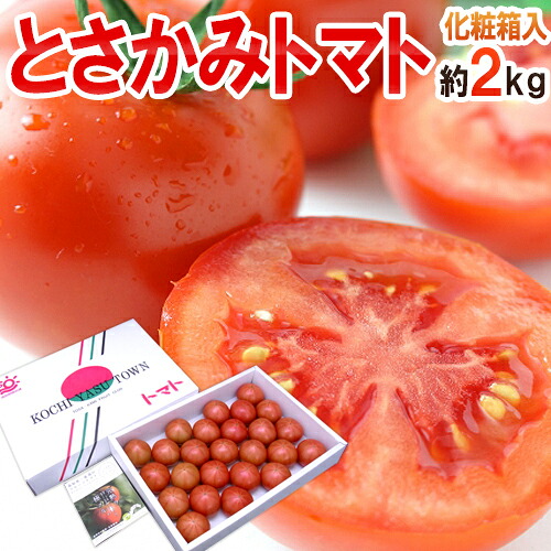 高知県夜須産 高糖度フルーツトマト ”とさかみトマト” 秀品 約2kg 化粧箱【予約 1月下旬以降】 送料無料