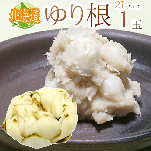 楽天市場】”北海道産 ゆり根” ちょっと訳あり 33〜45玉 約5kg ゆりね
