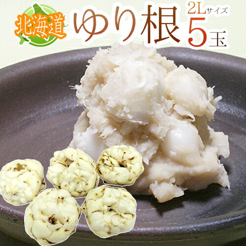 楽天市場】”北海道産 ゆり根” ちょっと訳あり 33〜45玉 約5kg ゆりね