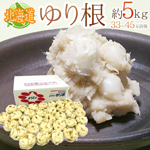 楽天市場】”北海道産 ゆり根” ちょっと訳あり 10〜20玉 約2kg ゆりね