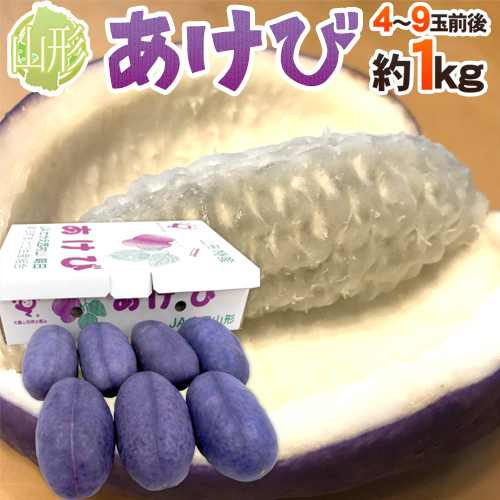 楽天市場 送料無料 山形県 あけび 秀品 4 9玉前後 約1kg 木通 アケビ 予約 9月中旬以降 くらし快援隊 母の日父の日お中元