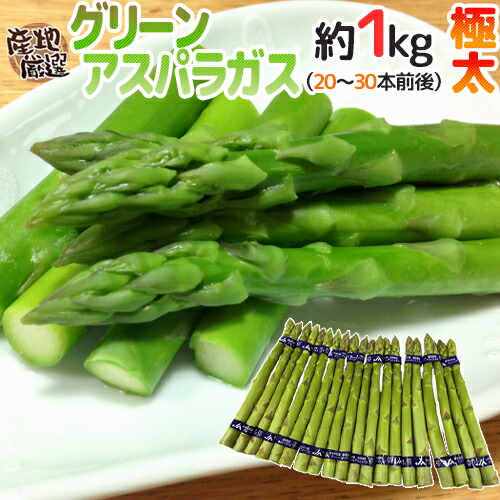 ひろ 北海道産 超極太＆極太グリーンアスパラセット 5kg 楽天市場】”極太グリーンアスパラガス” 100〜150本前後 約5kg