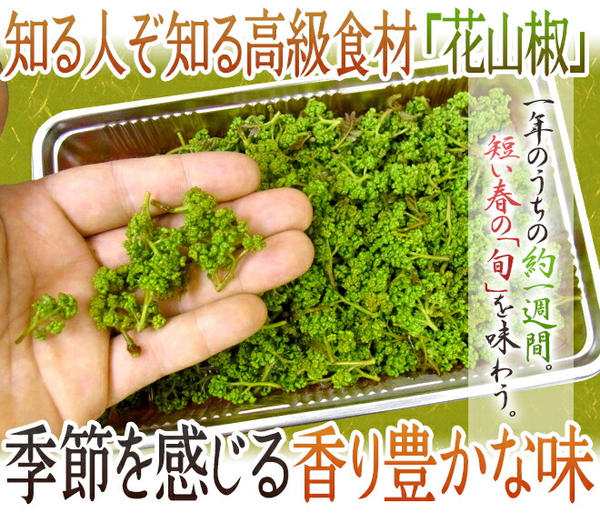 花さんしょ”（花山椒） 風袋込約100g【予約 4月以降】