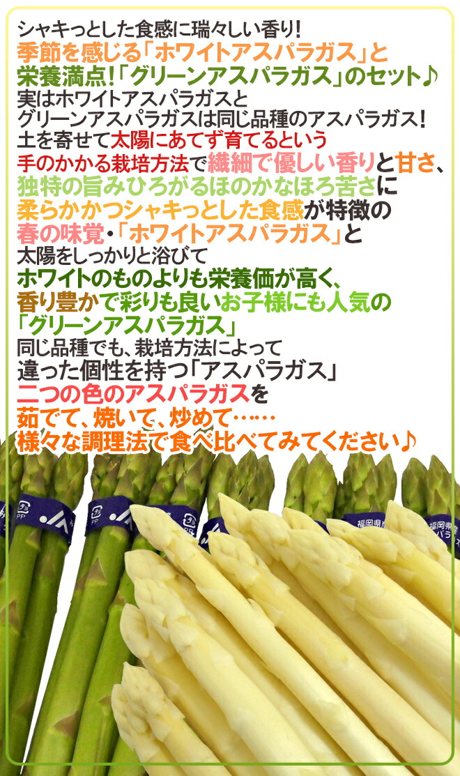 ”グリーン+ホワイトアスパラガスセット” 訳あり 約500g+約500g(計約1kg)北海道/長野/広島/佐賀/福岡 など産地厳選【予約 4月以降】 ”グリーン+ホワイトアスパラガスセット” 訳あり 約500g+約500g(計約1kg)北海道/長野/広島/佐賀/福岡 など産地厳選【予約 4月以降】