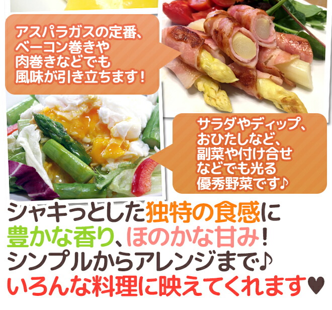 ”グリーン+ホワイトアスパラガスセット” 訳あり 約500g+約500g(計約1kg)北海道/長野/広島/佐賀/福岡 など産地厳選【予約 4月以降】 ”グリーン+ホワイトアスパラガスセット” 訳あり 約500g+約500g(計約1kg)北海道/長野/広島/佐賀/福岡 など産地厳選【予約 4月以降】