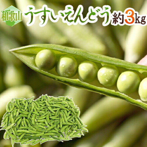 ”紀州・和歌山 うすいえんどう” 秀品 約3kg バラ詰め【予約 3月中下旬以降】 送料無料