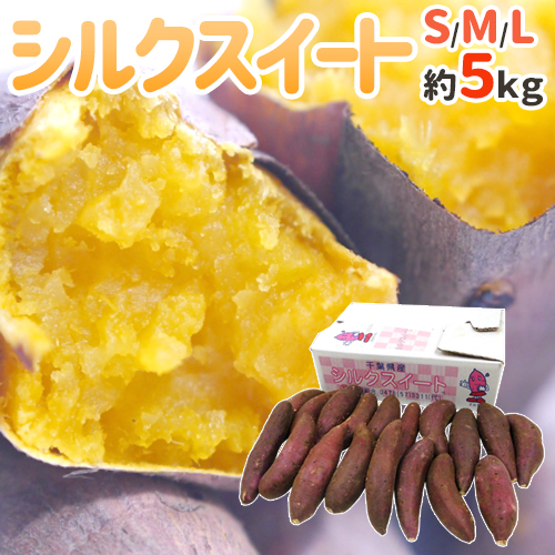 【楽天市場】”シルクスイート” 訳あり S・M・Lサイズ 約5kg 送料