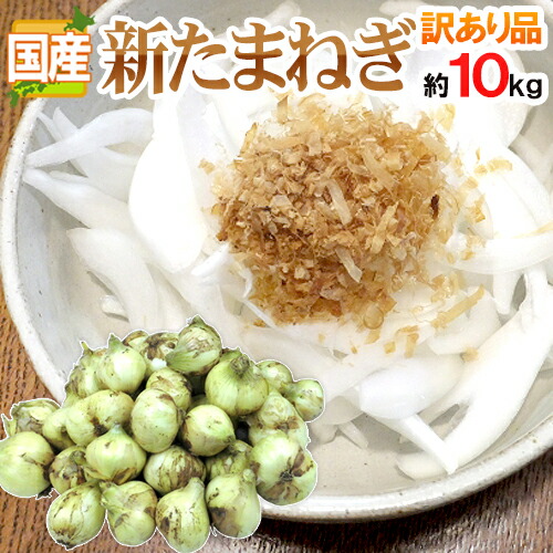 【エントリーで200Pプレゼント】”新たまねぎ” 訳あり 約10kg 九州・四国・淡路・北海道 産地厳選【予約 4月中旬以降】 送料無料