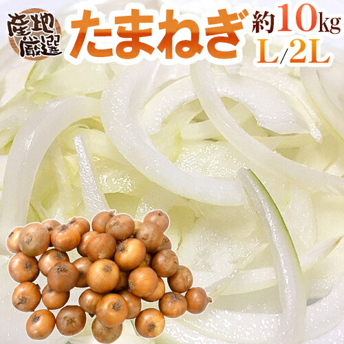 数量限定　4箱　玉葱　21 種 野菜たね タマネギ （超極早生）新春玉葱EX 1袋（3ml） 玉葱