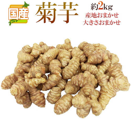 現金特価 ”菊芋” 約2kg 大きさおまかせ 産地厳選 キクイモ 送料無料 