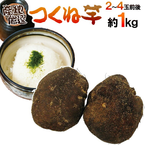 楽天市場】産地厳選 ”つくね芋・山の芋” 5〜10玉前後 約3kg 山芋/大和