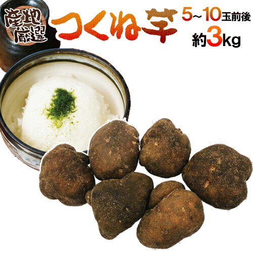 楽天市場】産地厳選 ”つくね芋・山の芋” 15〜25玉前後 約10kg 山芋