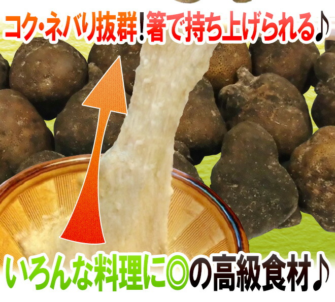 産地厳選”つくね芋・山の芋”訳あり約5kg大きさおまかせ山芋/大和芋/やまいも