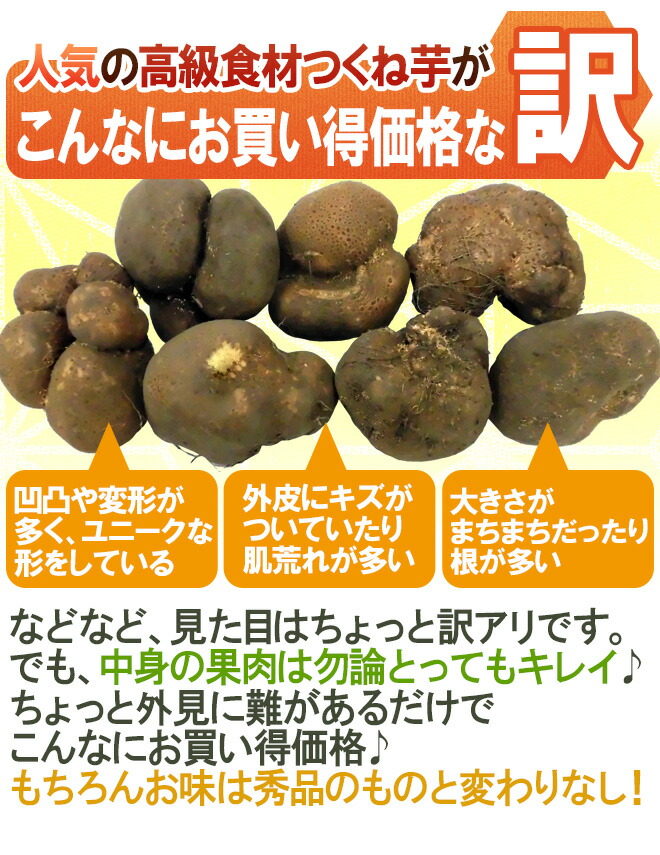 産地厳選”つくね芋・山の芋”訳あり約5kg大きさおまかせ山芋/大和芋/やまいも