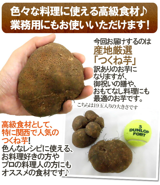 産地厳選”つくね芋・山の芋”訳あり約5kg大きさおまかせ山芋/大和芋/やまいも