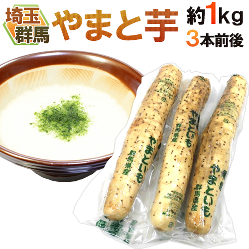 楽天市場】群馬・埼玉 ”やまと芋” 10〜16本前後 約4kg やまと