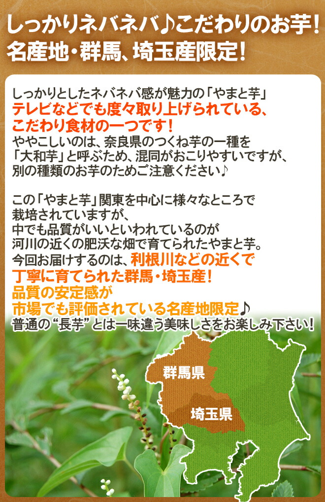 市場 群馬 10〜16本前後 ”やまと芋” 約4kg 埼玉 やまといも