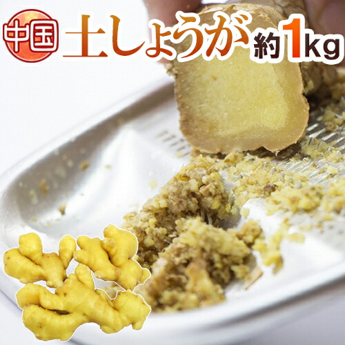 ”土しょうが” 約1kg 肉厚！！土生姜/老生姜/ひね生姜/古根ショウガ/中国産