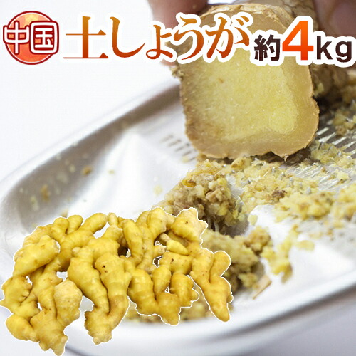 新物　新生姜　安いよ　298 新物 新生姜 安いよ 12
