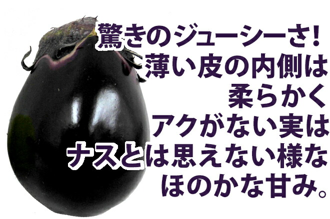 市場 大阪泉州 予約 風袋込約4kg ご家庭用 ”水なす” 訳あり