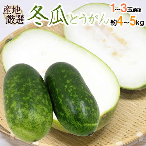 ”冬瓜（とうがん）” 1～3玉前後 約4～5kg トウガン/加茂瓜【予約 入荷次第発送】 送料無料