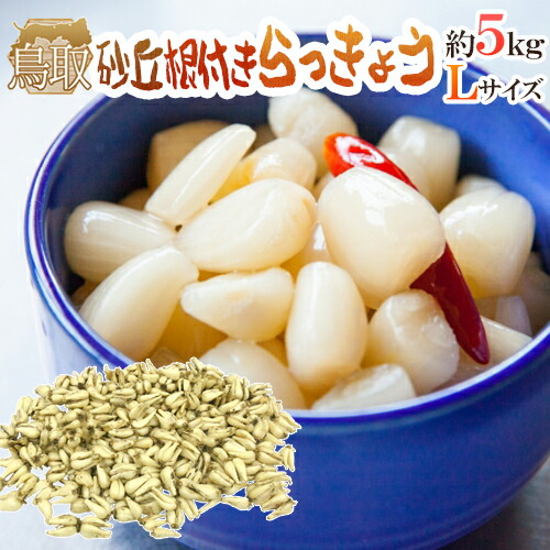 Amazon | 洗い 砂丘らっきょう 秀品 Sサイズ 約10kg 鳥取県産