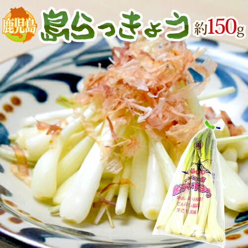 鹿児島県産　土付きらっきょう　約10キロ　v 鹿児島県産 土付きらっきょう 約10キロ m 鹿児島県 ”島らっきょう” 約150g