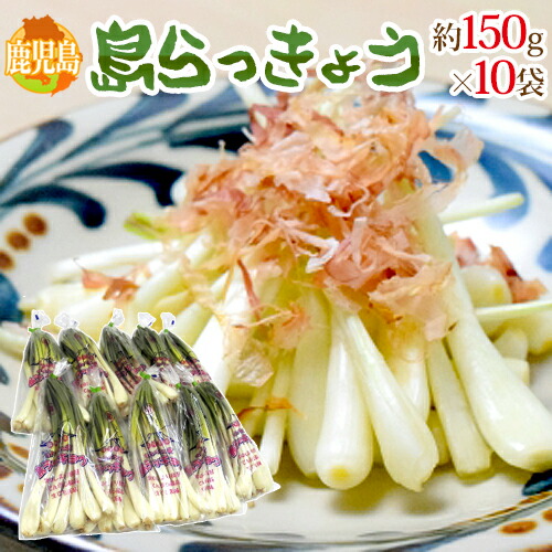 楽天市場】鹿児島県 ”島らっきょう” 約150g×3袋 大きさおまかせ【予約