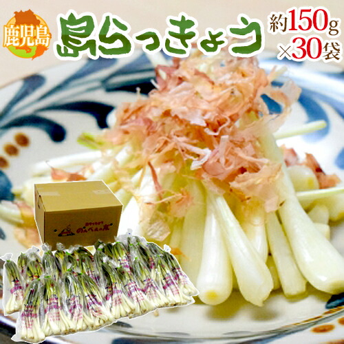 楽天市場】鹿児島県産 島ラッキョウ （島らっきょう） A等級 150g （袋