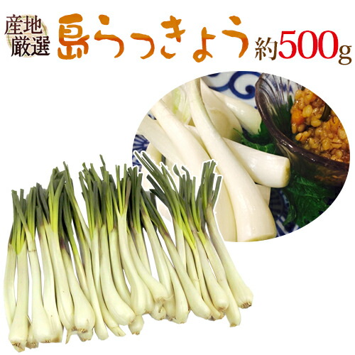 鹿児島県産　土付きらっきょう　約10キロ　m 0f920e82ff9b86a614a606ebdec687