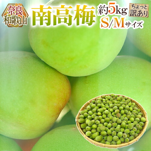 奈良・和歌山産 ”南高梅” ちょっと訳あり S/M 約5kg【予約 6月初旬以降】 送料無料
