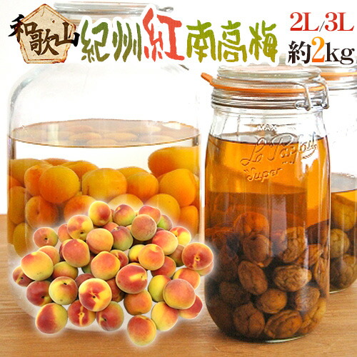 ”紀州・和歌山産 紅南高梅” 秀品 2L～3L 約2kg【予約 5月下旬以降】 送料無料