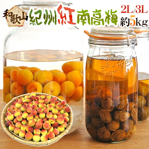 ”紀州・和歌山産 紅南高梅” 秀品 2L～3L 約5kg【予約 5月下旬以降】 送料無料