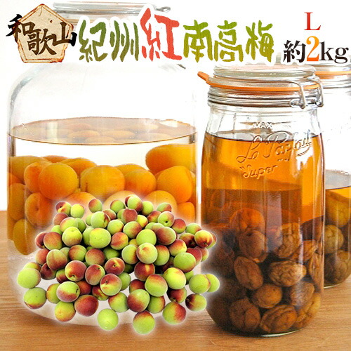 ”紀州・和歌山産 紅南高梅” 秀品 L 約2kg【予約 5月下旬以降】 送料無料